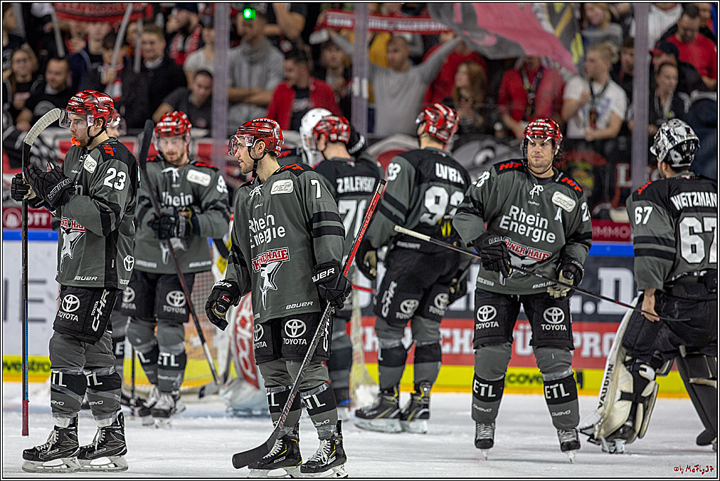DEL; Koelner Haie - Straubing Tigers, 02.12.2018